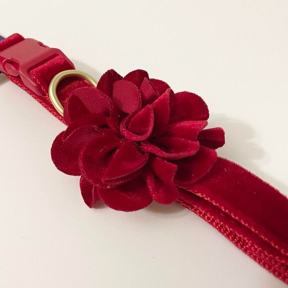 Top Paw Stylish Floral X-Small Dog Collar Medium 14 - 20 Inch - Picture 11 of 12